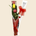 Caja de 3 Tulipanes