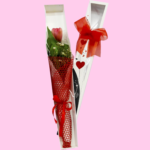 Tulipan del Corazón