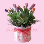 Caja Box De Tulipanes - Hermosos Tulis