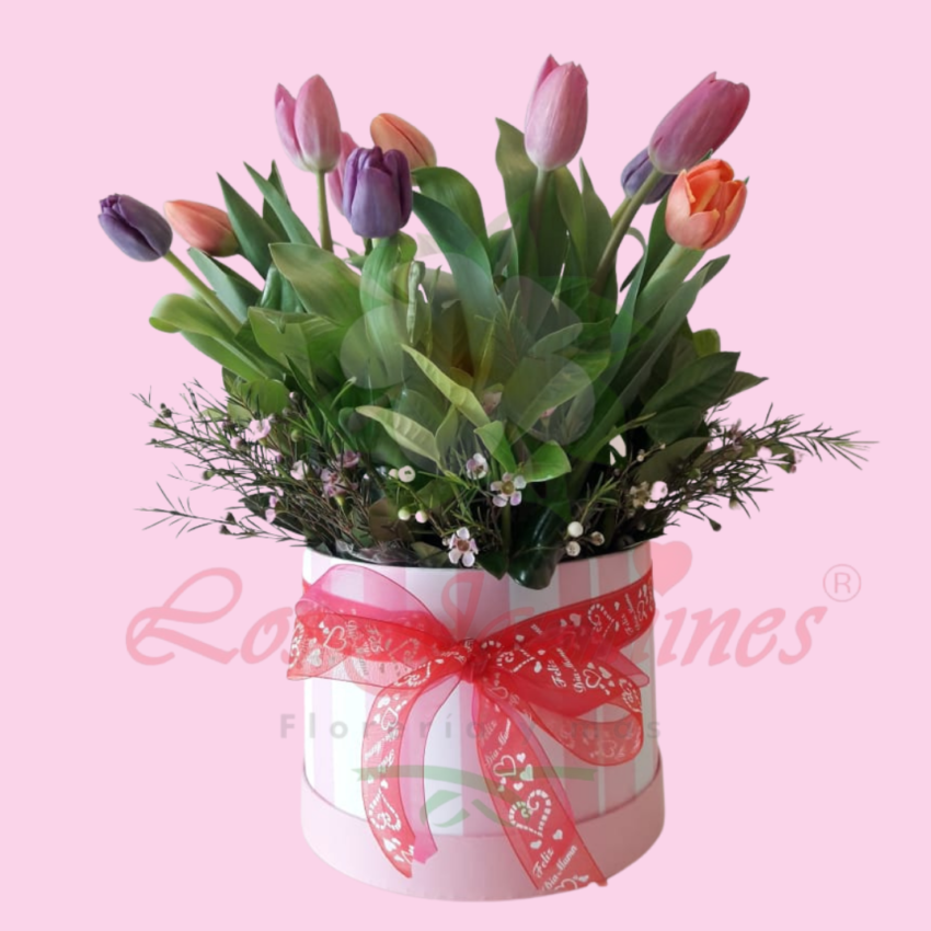 Caja Box De Tulipanes – Hermosos Tulis – Floreria los Jazmines