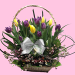 Tulipanes lila con amarillo