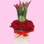 😍😻tUliPaNcItOs😏😘