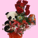 😍😘Pandita Divertida😝🤪