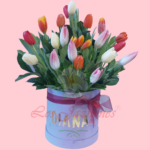 🌈Elegancia en tulipanes🌷