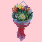 20 Tulipanes de Amistad