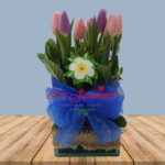 🎉Bouquet de Tulipanes🧶