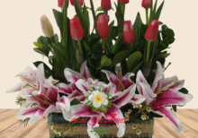 💖💝Melodía de Amor🌷🌺