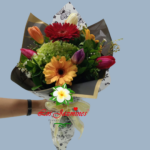 Magia en Tulipanes