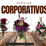 Arreglos Ejecutivos